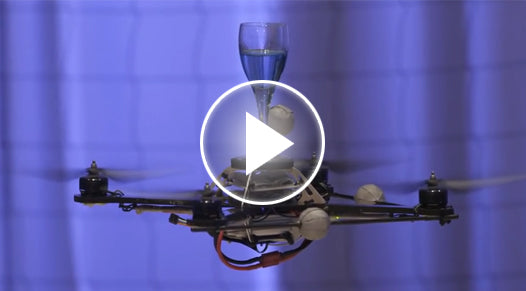 The Astounding Athletic Powers of Quadcopters