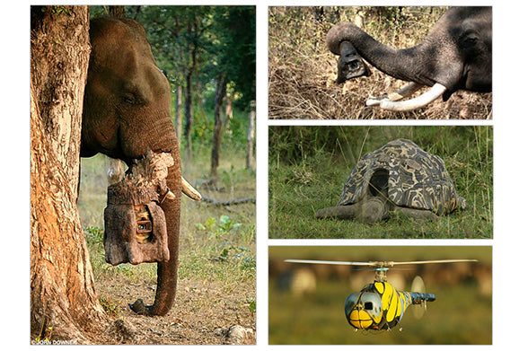 African Parks Team Trialed FLIR Thermal-Equipped Drones to Monitor Elephants