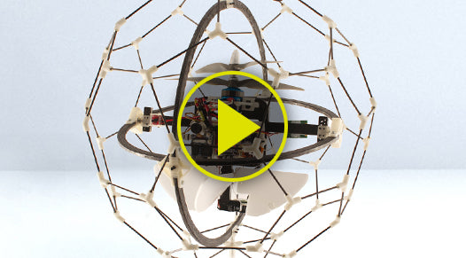 Gimball: An Insect-Like, Crash Happy Flying Robot