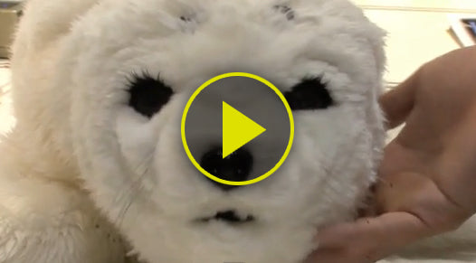 Cute Baby Seal Robot: OEM Applications Mimic Emotions