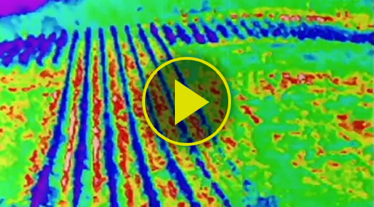 Vineyard Inspection: UAV Drone Equipped with a Thermal Imaging Camera