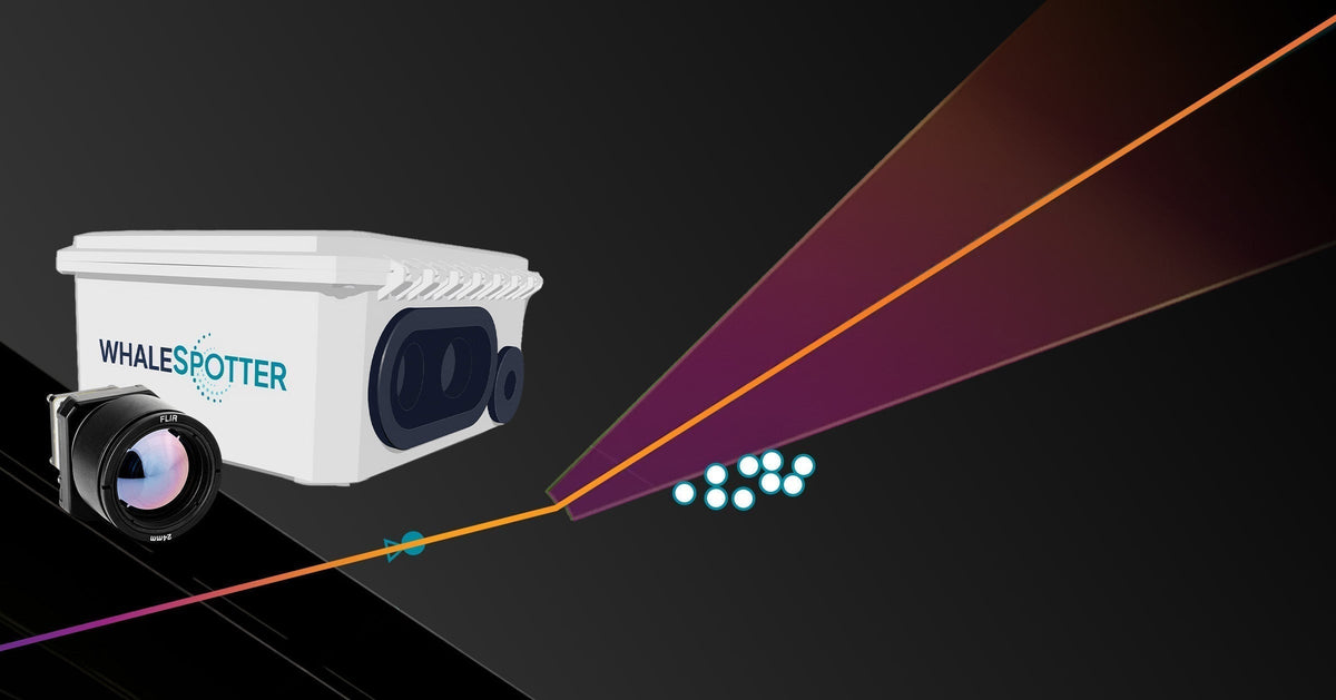 Teledyne FLIR OEM Thermal Imaging Enables WhaleSpotter’s AI-Powered Whale-Strike Mitigation System