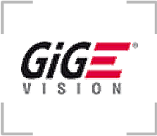 gig-e-icon