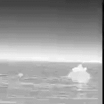 Floating Debris