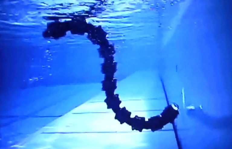 Camera Controlled by an Amphibious Snake Robot: Design Inspired by Nature