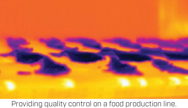 food quality