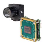 FPD-Link III cameras